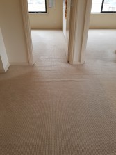 Carpet Restreching